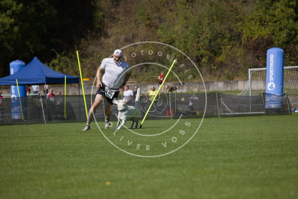 0L8A6227 | Hundefotografie, Tierfotograf, Pfotenfotografie, Fotoshooting Hund, Hunde Portrait, Hundesport, Hundeportraits, Heideshooting, Hunde, Sportfotograf, Hundefotograf, Turnierhundsport, THS,  - Realisiert mit Pictrs.com