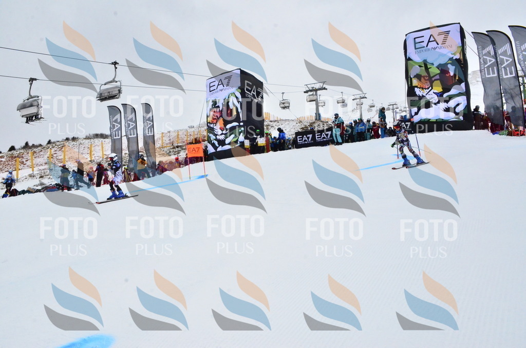 _ELE3088 | holidayphoto