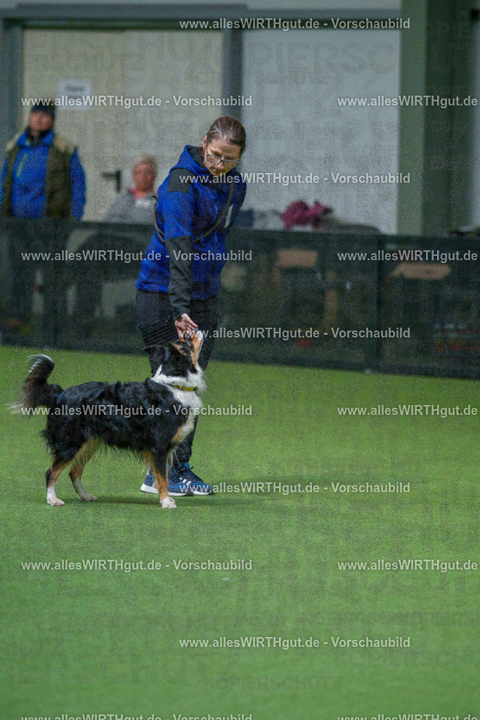 7R503188 | Professionelle Tierfotografie in Mönchengladbach von Daniel Wirth (allesWIRTHgut). Liebevolle & natürliche Bilder von Hunden & Katzen für unvergessliche Erinnerungen.