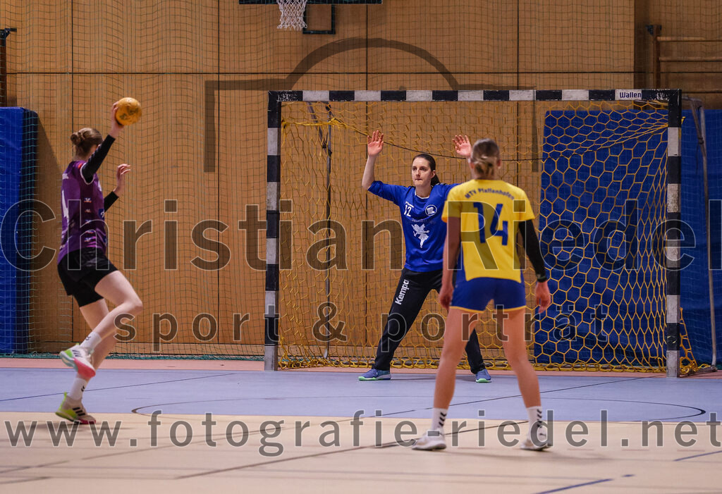 2025-02-15_009_SpVgg_Altenerding_gegen_MTV_Pfaffenhofen | Erding, Deutschland, 15.02.2025:Handball, Bezirksoberliga Frauen Altbayern 2024 / 2024, 14. Spieltag, SpVgg Altenerding gegen MTV Pfaffenhofen, Endergebnis: 27:23Greta Felbinger (SpVgg Altenerding, #4), Torfrau Annika Riehm (MTV Pfaffenhofen, #12), Julia Waterkotte (MTV Pfaffenhofen, #14)Foto: Christian Riedel / fotografie-riedel.net