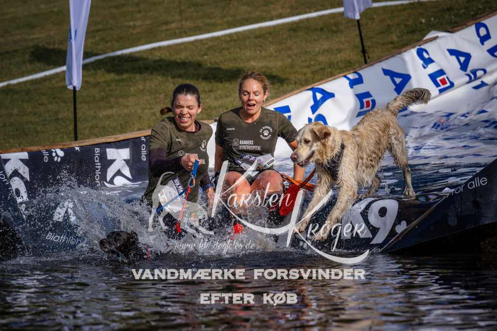 _ZZ948680720 | kk-dogfotos