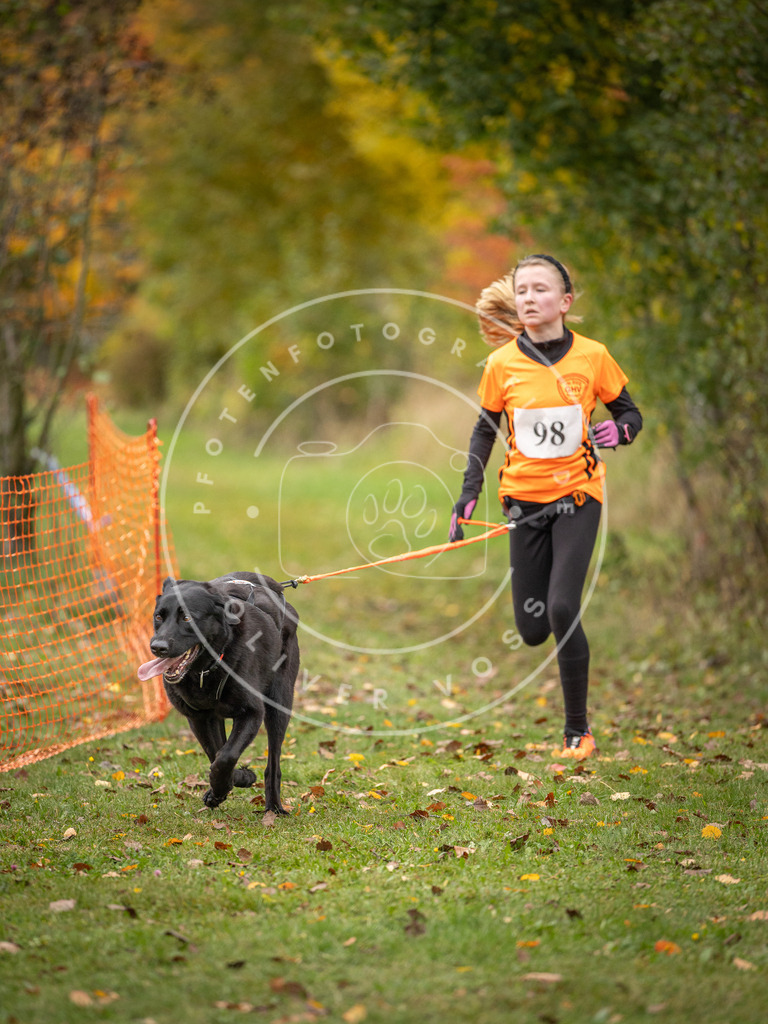 Pfotenfotografie_DV3A3435 | Hundefotografie, Tierfotograf, Pfotenfotografie, Fotoshooting Hund, Hunde Portrait, Hundesport, Hundeportraits, Heideshooting, Hunde, Sportfotograf, Hundefotograf, Turnierhundsport, THS,  - Realisiert mit Pictrs.com