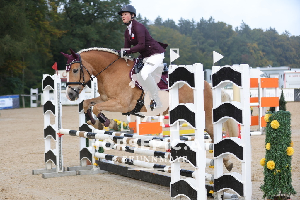 0P6A0937 | Willkommen bei Brunnmayr - Design & Fotografie – Ihrem Spezialisten für Reitturniere und Pferdeveranstaltungen in Oberösterreich, Salzburg und Bayern! Seit über 17 Jahren sind wir leidenschaftlich dabei.