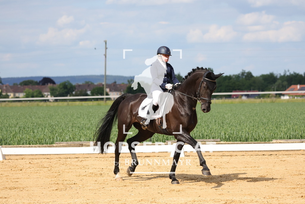 0P6A9086 | Willkommen bei Brunnmayr - Design & Fotografie – Ihrem Spezialisten für Reitturniere und Pferdeveranstaltungen in Oberösterreich, Salzburg und Bayern! Seit über 17 Jahren sind wir leidenschaftlich dabei.