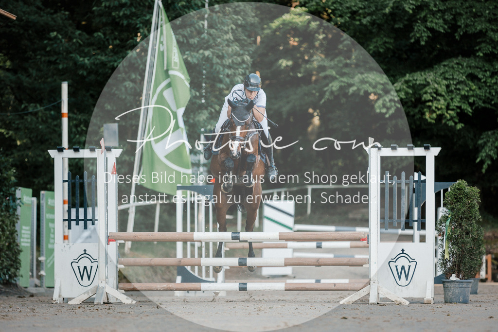 3I6A6058 | Stimmungsvolle Portraits und Reitsportfotografie im Ruhrgebiet und im Münsterland.

Pferdefotografie, Hundefotografie, Tierfotografie, Reportagen, Portraits von Tier und Mensch, Turnierfotografie in Bochum, Recklinghausen, Marl, Haltern am See, Dülmen.. - Realisiert mit Pictrs.com