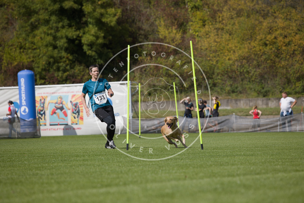 0L8A2945 | Hundefotografie, Tierfotograf, Pfotenfotografie, Fotoshooting Hund, Hunde Portrait, Hundesport, Hundeportraits, Heideshooting, Hunde, Sportfotograf, Hundefotograf, Turnierhundsport, THS,  - Realisiert mit Pictrs.com
