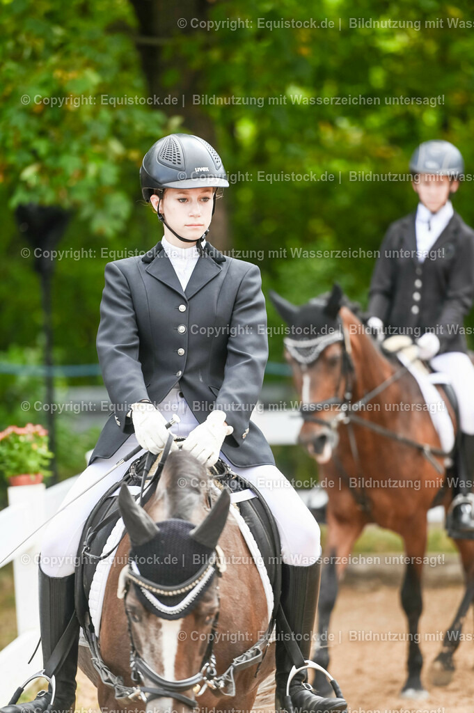 20230716_10-2_Reiter-WB Schritt - Trab - Galopp_0017 | equistock