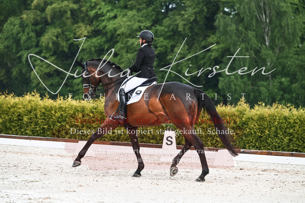 DSC_4198 | Pferde- und Turnierfotografie in Westsachsen. Pferdeportraits, Auftragszeichnungen und intuitive Kunst.