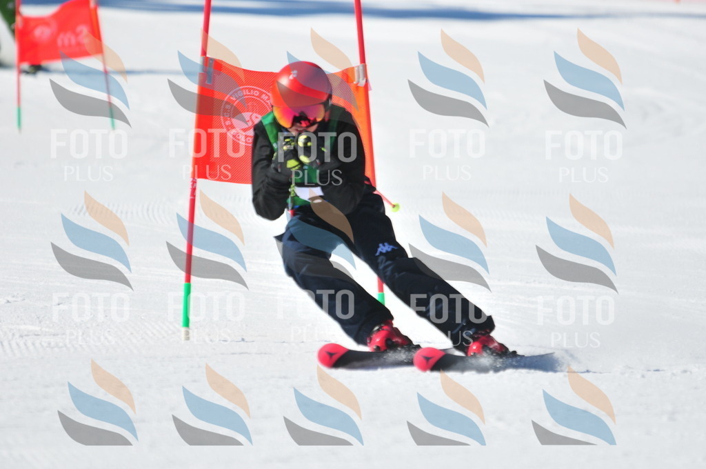 C3911 | holidayphoto