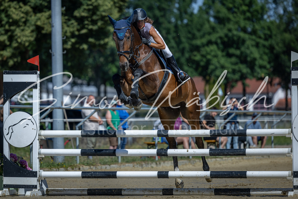 20260704-_3LI7505 | Tierfotografie Pferde, Hunde, Katzen, Haustiere.
Turnierfotografie Reitturniere, Reiten, Springreiten, Dressur in Hanau, dem Main-Kinzig-Kreis und dem Rhein-Main- Gebiet um Frankfurt