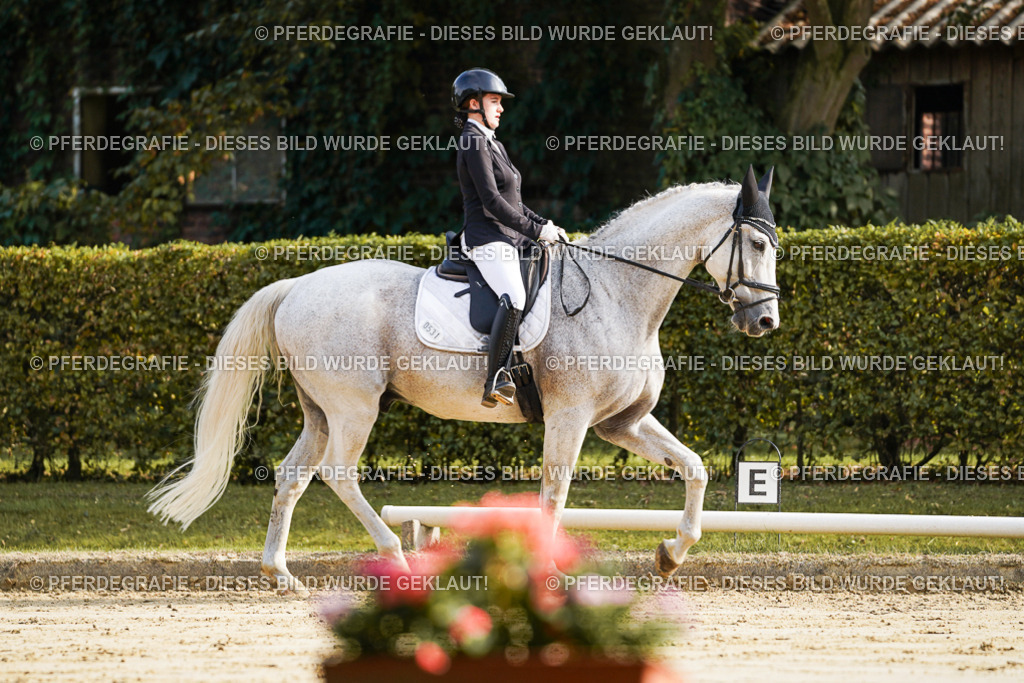 DSC05706 | Pferdegrafie