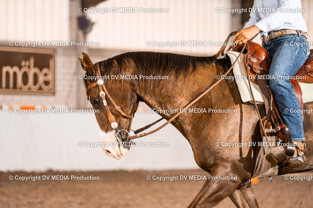 ZH200347 | dv-media-shop - Realisiert mit Pictrs.com