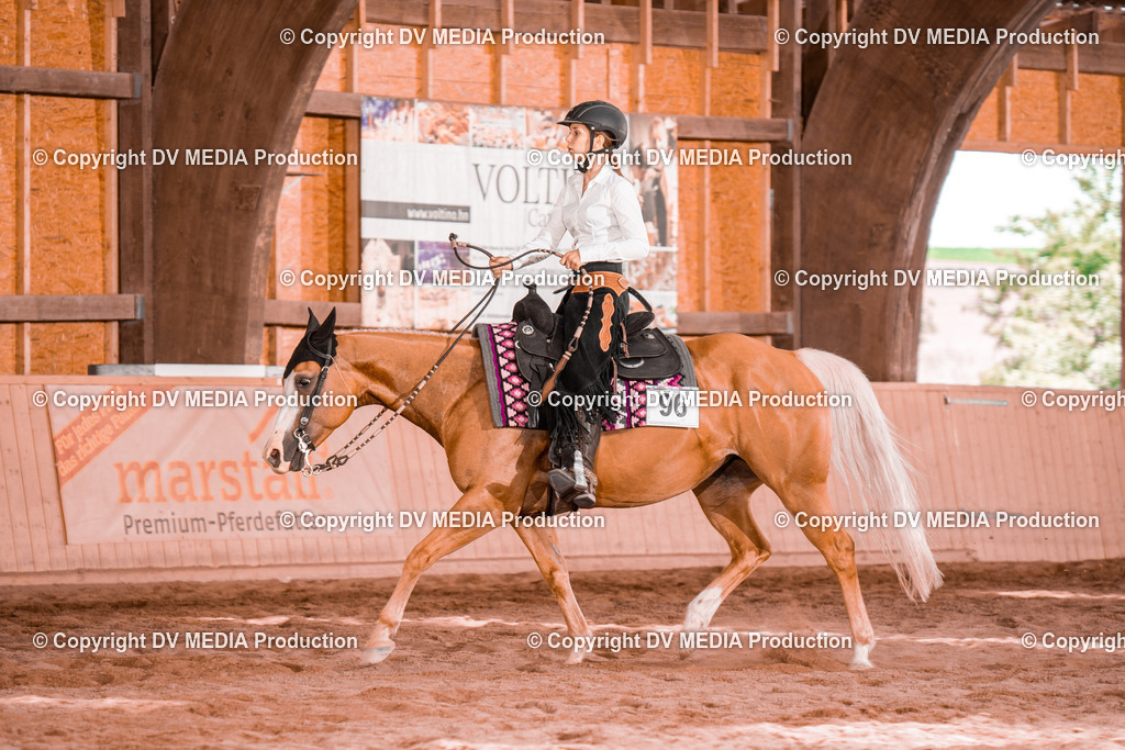 NE200686 | dv-media-shop - Realisiert mit Pictrs.com