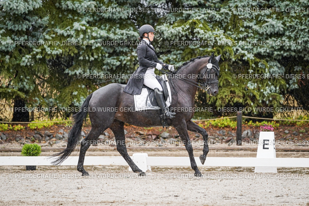 DSC08415 | Pferdegrafie