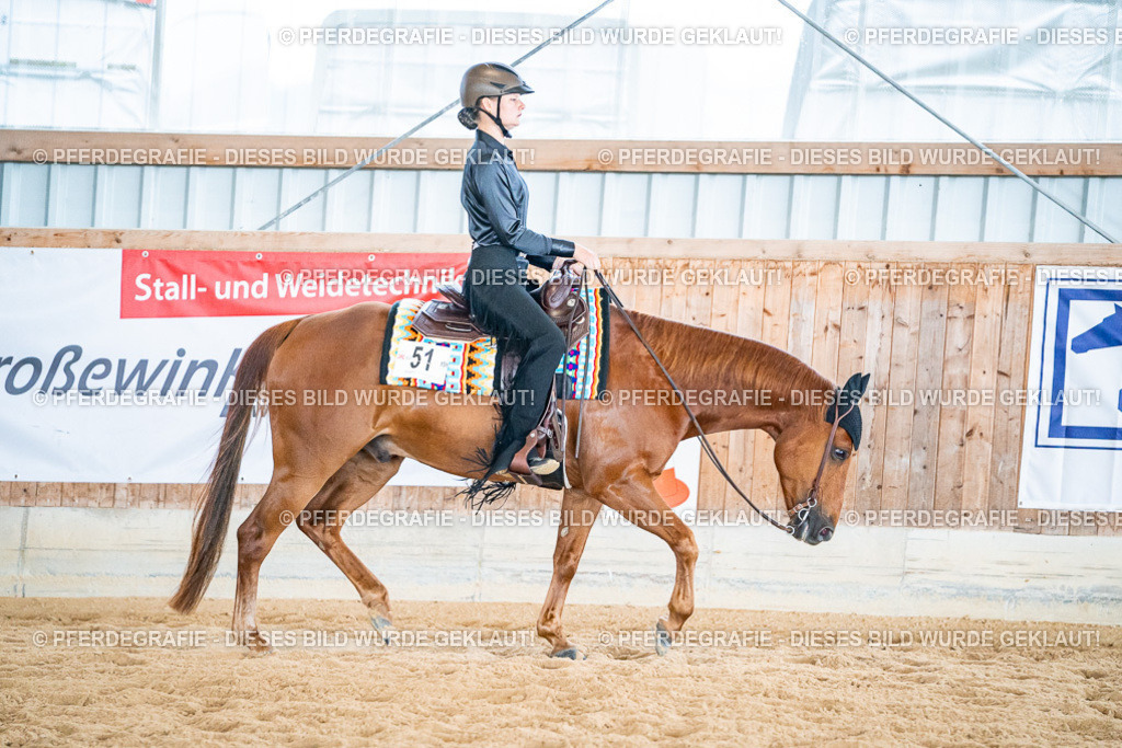 DSC02619 | Pferdegrafie