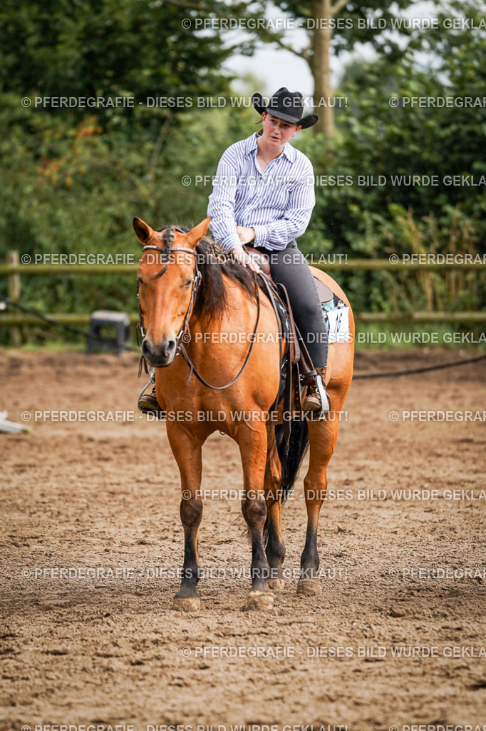 DSC09211 | Pferdegrafie