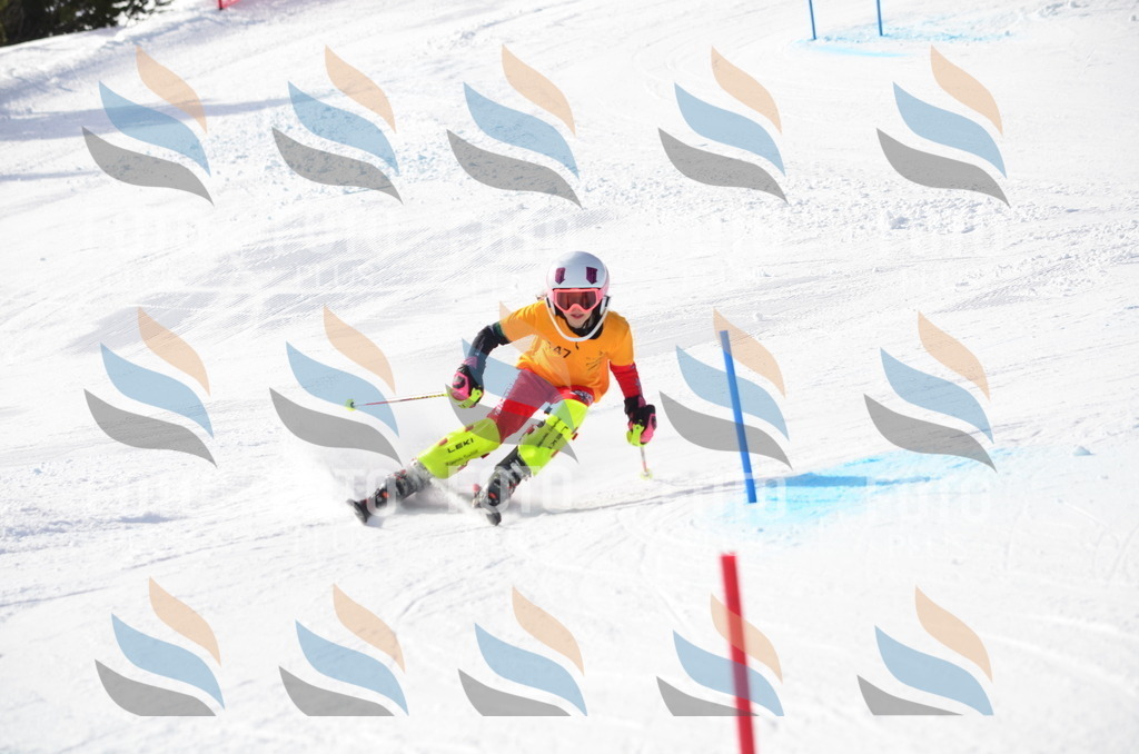 C7727 | holidayphoto