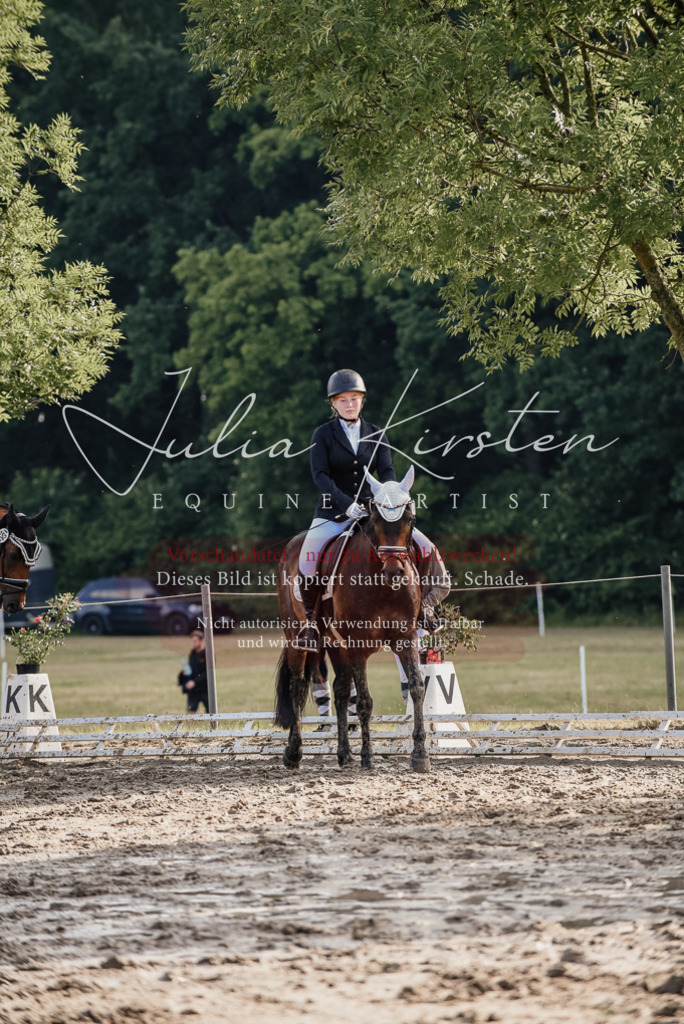 DSC_8128 | Pferde- und Turnierfotografie in Westsachsen. Pferdeportraits, Auftragszeichnungen und intuitive Kunst.