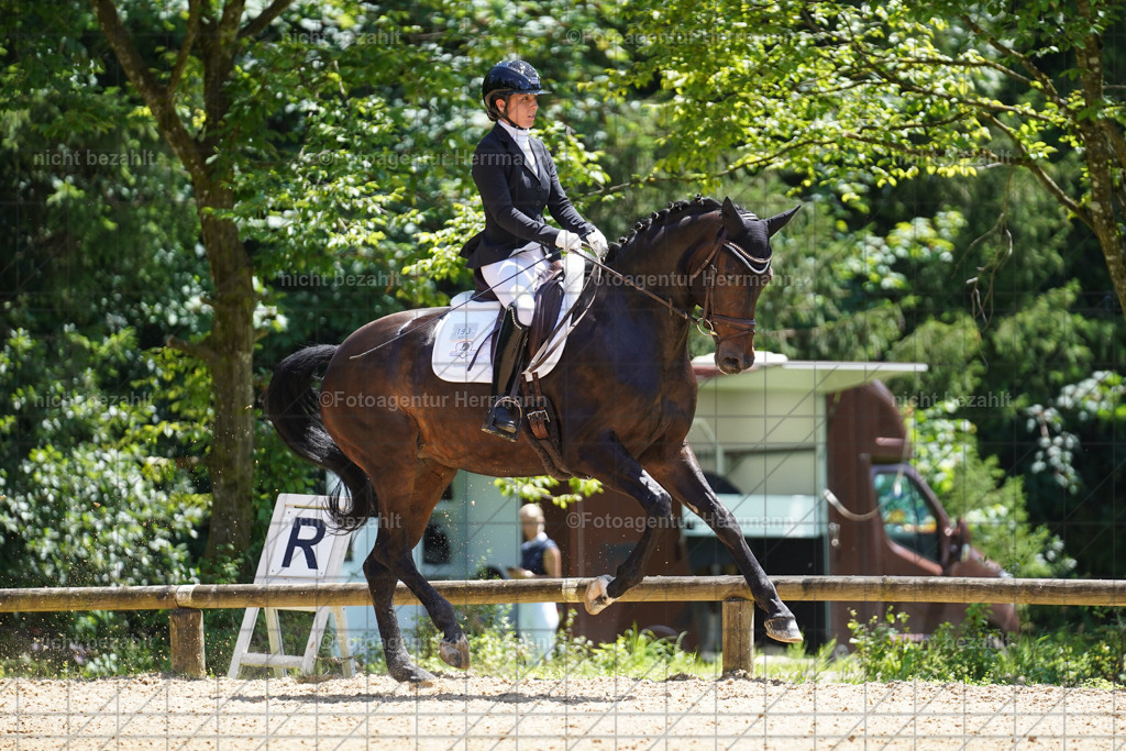 20240705-FAH04120 | Turnierbilder von Grafing, Reitsportbilder, Turnierfotos, Turnierfotografen Bayern, Pferdefotograf, Fotoagentur Herrmann