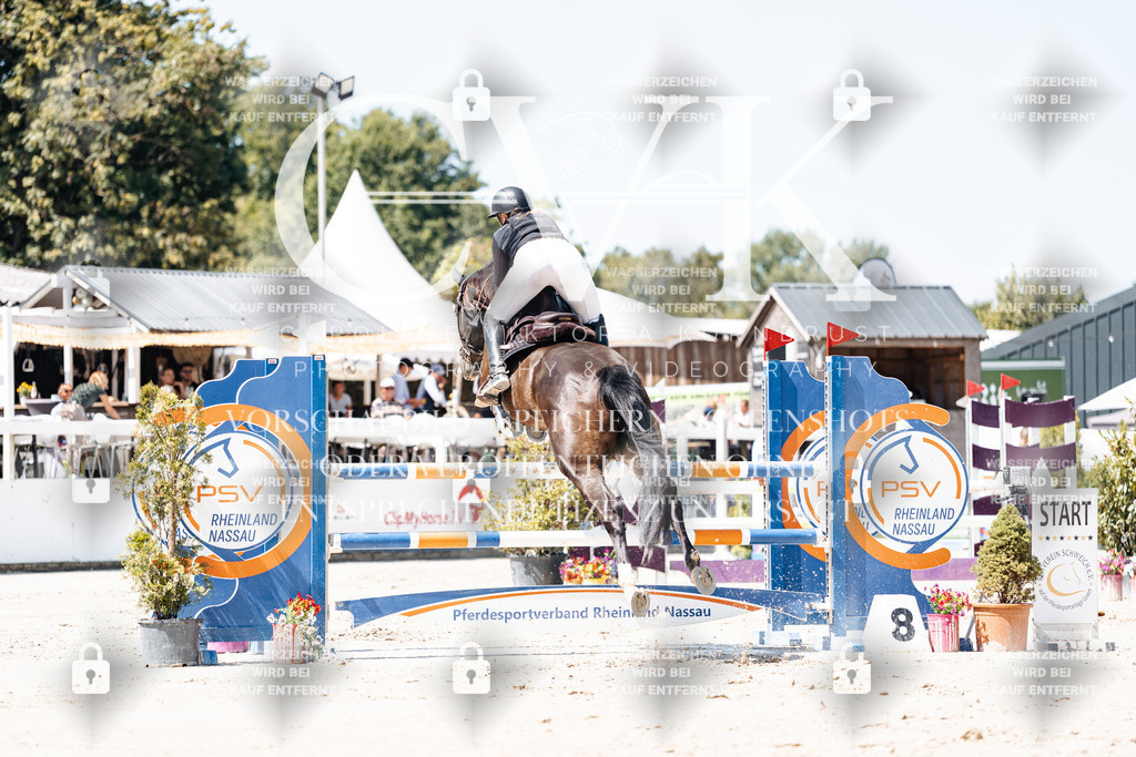 CK909549 | Turnierfotografie Pferdefotografie Trier Rheinland-Pfalz Pferdesport Reitsport Tierfotografie Sportfotografie Pferdevideo Pferdevideografie Equestrianvideography equestrianphotography  - Realisiert mit Pictrs.com