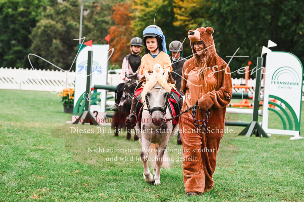 DSC_7341 | Pferde- und Turnierfotografie in Westsachsen. Pferdeportraits, Auftragszeichnungen und intuitive Kunst.