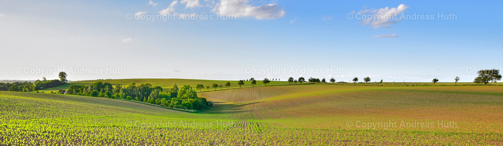 Die Lommatzscher Pflege NW von Lüttewitz 01 | Bedeutsame Landschaften Deutschlands - Realisiert mit Pictrs.com