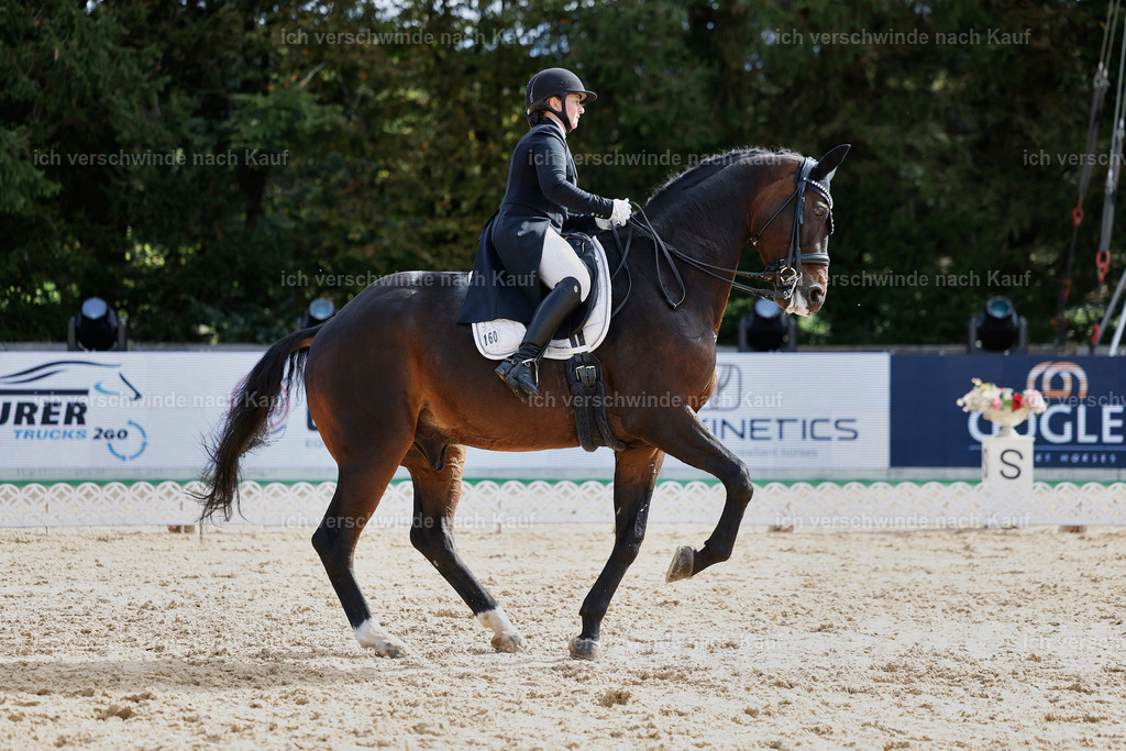 6-160-AMATUER-DRESSUR S_  -StoibPH-3450 | working equitationturnier fotograf videograf stoibphotography marixx film working equitation deutschland reitsport turnierfotografie eventfotografie equestrian events