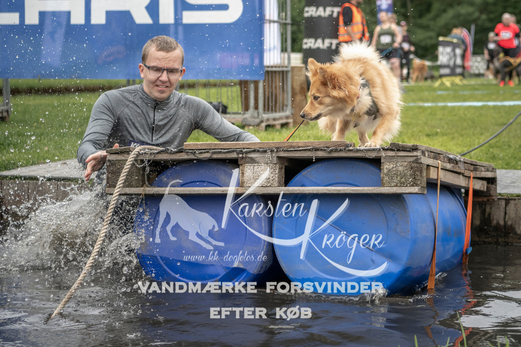 1000_ZZ93384 | kk-dogfotos