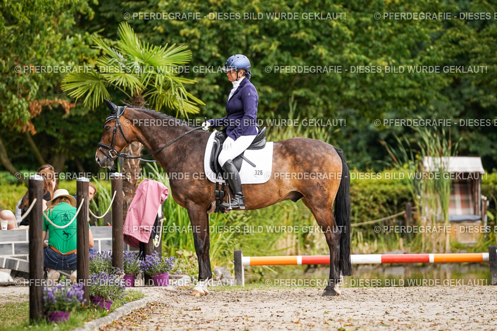 DSC02086 | Pferdegrafie