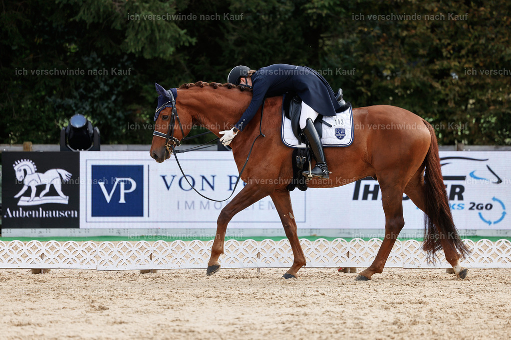 6-143-AMATUER-DRESSUR S_  -StoibPH-3440 | working equitationturnier fotograf videograf stoibphotography marixx film working equitation deutschland reitsport turnierfotografie eventfotografie equestrian events