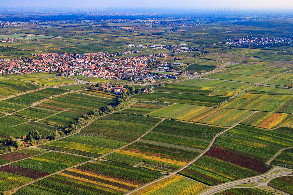 Luftbild: Stadtansicht von Südwesten am Rande von Rebbergen in Maikammer im Bundesland Rheinland-Pfalz in Deutschland. Foto: IMG_22152.jpg vom 15.10.2009 durch Werner Riehm/FLY-FOTO.de