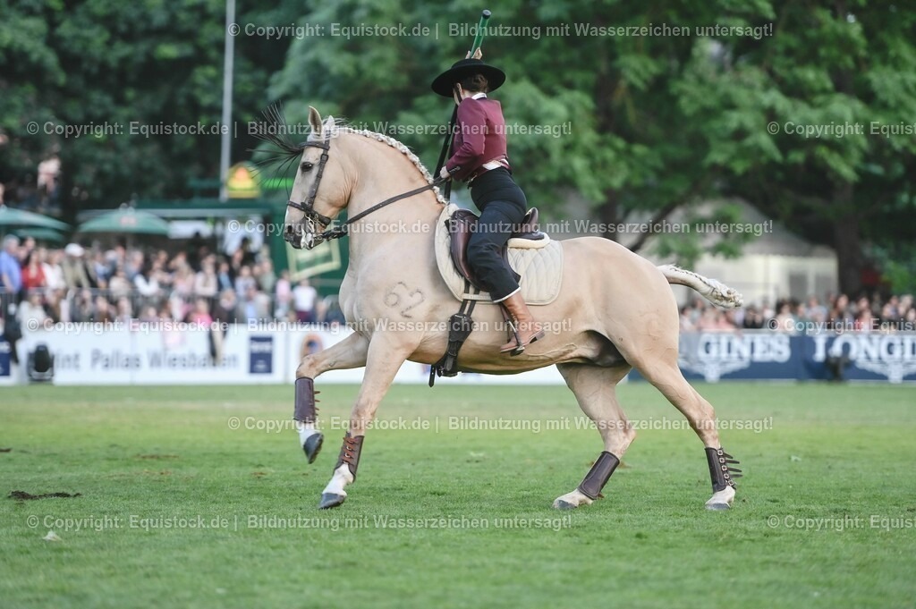 20230526_Pferdenacht_0689 | equistock