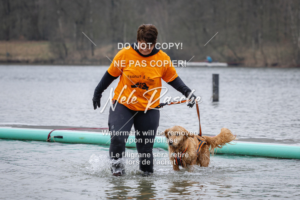 nelerasche_Hulsbeek_Sa1600-1700_234 | nelerasche