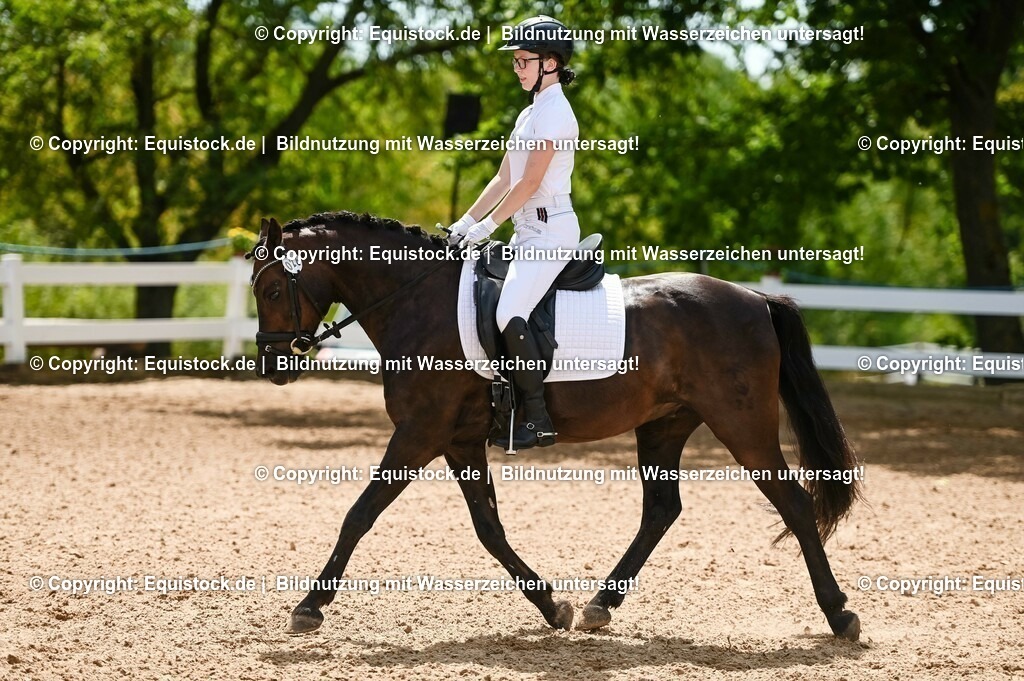 20230715_09_Dressur-WB_0222 | equistock