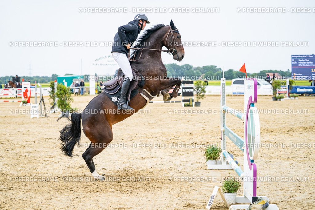 DSC07595 | Pferdegrafie