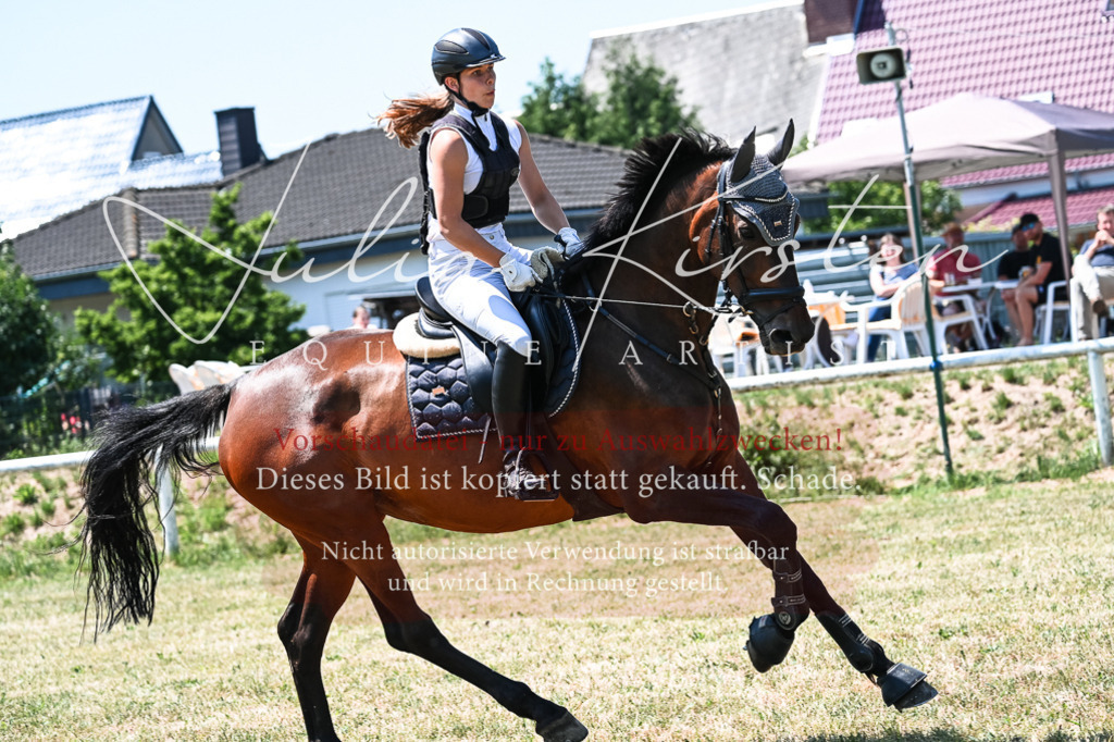 DSC_0235 | Pferde- und Turnierfotografie in Westsachsen. Pferdeportraits, Auftragszeichnungen und intuitive Kunst.