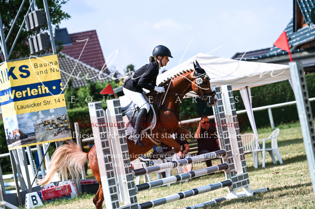 DSC_8726 | Pferde- und Turnierfotografie in Westsachsen. Pferdeportraits, Auftragszeichnungen und intuitive Kunst.