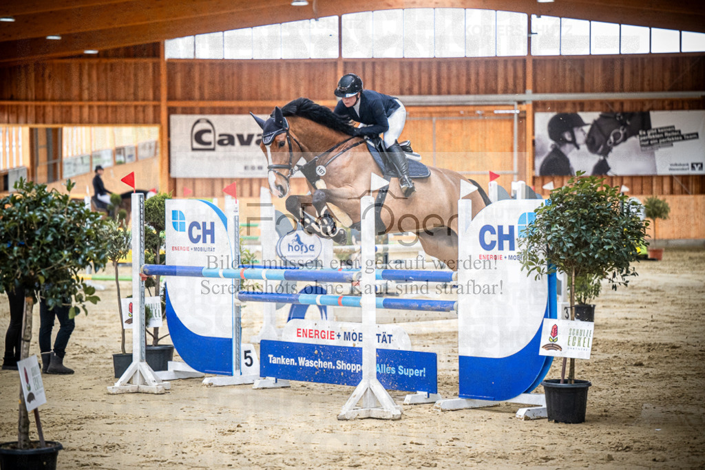 DOS_0490 | Entdecke hochwertige Reitturnierfotos von Foto Oger. Professionell, emotional und authentisch – jetzt Lieblingsmomente im Shop bestellen.Deutschlandweite Turnierfotografie. - Realisiert mit Pictrs.com