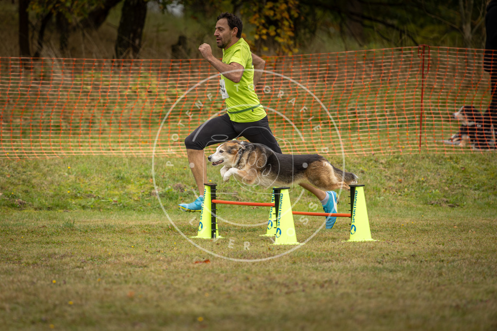 Pfotenfotografie_DV3A5673 | Hundefotografie, Tierfotograf, Pfotenfotografie, Fotoshooting Hund, Hunde Portrait, Hundesport, Hundeportraits, Heideshooting, Hunde, Sportfotograf, Hundefotograf, Turnierhundsport, THS,  - Realisiert mit Pictrs.com