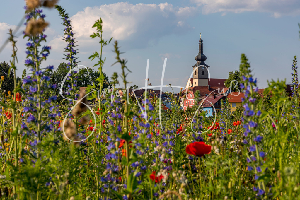 Frühling in Wurz | simonsuess - Realisiert mit Pictrs.com