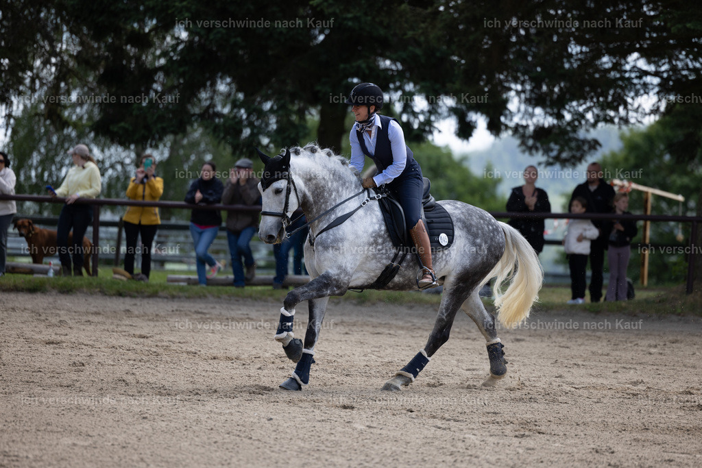 Masterclass_stoibphotography_C2_C8416.CR3 | working equitationturnier fotograf videograf stoibphotography marixx film working equitation deutschland reitsport turnierfotografie eventfotografie equestrian events