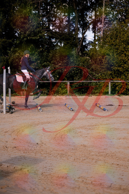 2026_10_03_Siefer-Hof_144829_Z81_25754652 | Professionelle Reitsport-, Turnier- und Eventfotografie von Robert Broda. Galerien mit ausgewählten und bearbeiteten Bildern direkt online ansehen und bestellen.