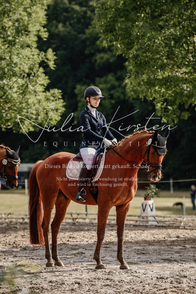 DSC_8885 | Pferde- und Turnierfotografie in Westsachsen. Pferdeportraits, Auftragszeichnungen und intuitive Kunst.
