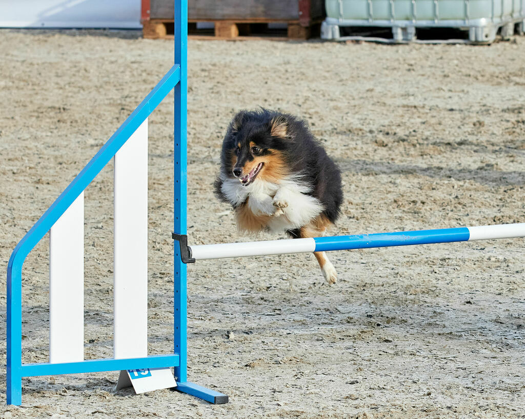 580B0012 | Peter Fridle Fotografie - Realisiert mit Pictrs.com