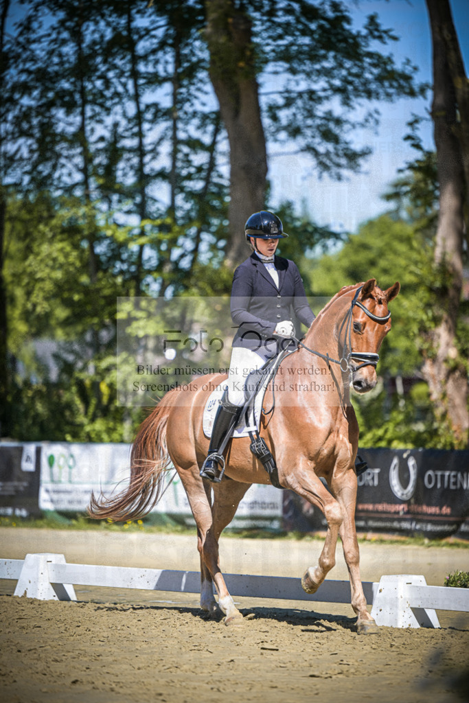 DOS_6052 | Entdecke hochwertige Reitturnierfotos von Foto Oger. Professionell, emotional und authentisch – jetzt Lieblingsmomente im Shop bestellen.Deutschlandweite Turnierfotografie. - Realisiert mit Pictrs.com