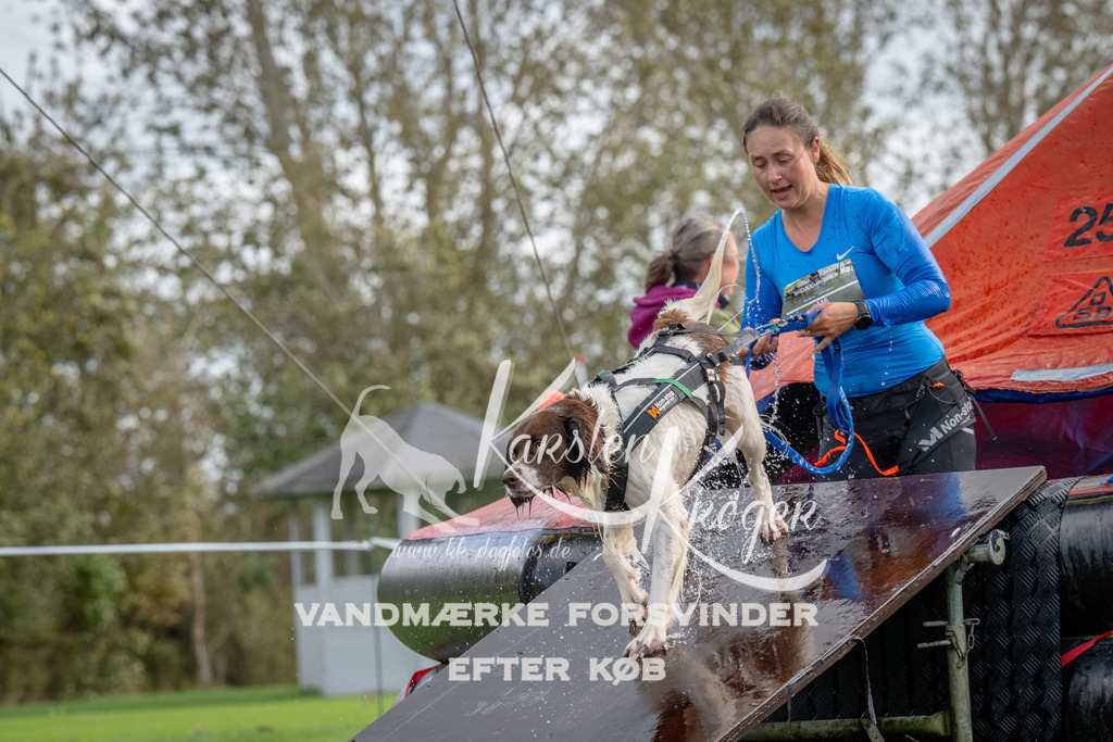 1222-93455 | kk-dogfotos