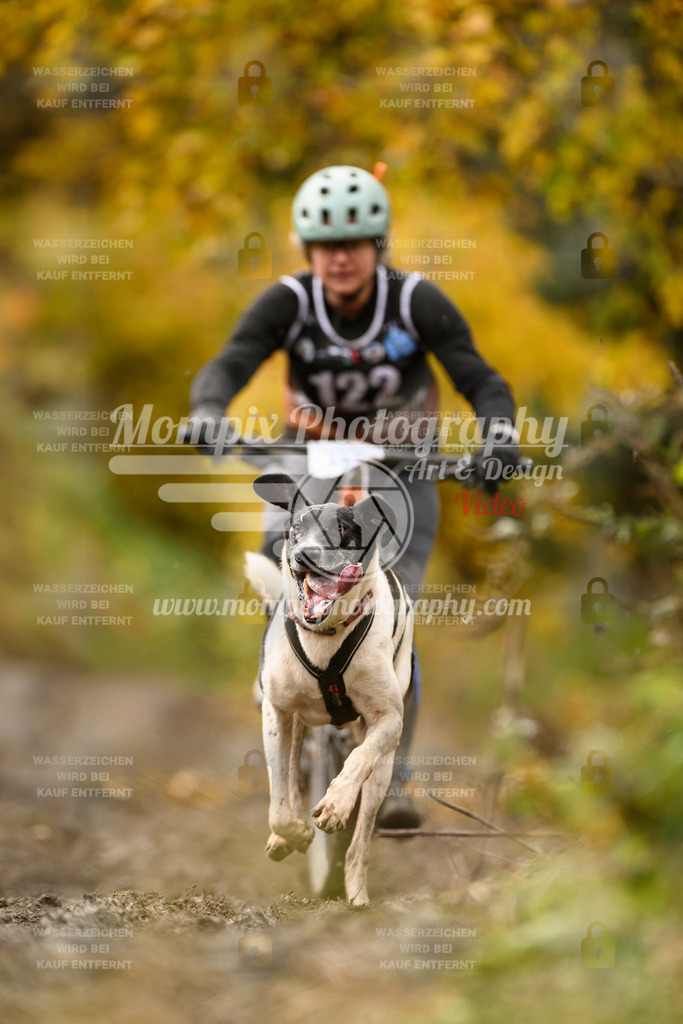 MompixPhotography_ICF_WC_2024_SA_Bike_-106 | PayLife