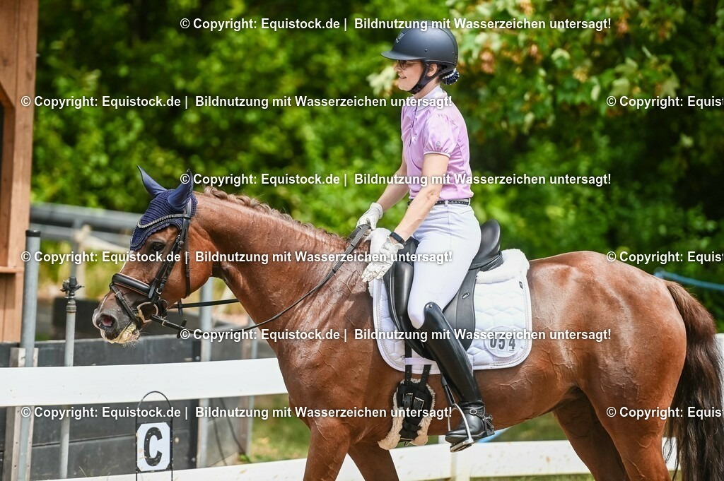 20230716_03_Dressurprfg. Kl.L - Tr._0248 | equistock