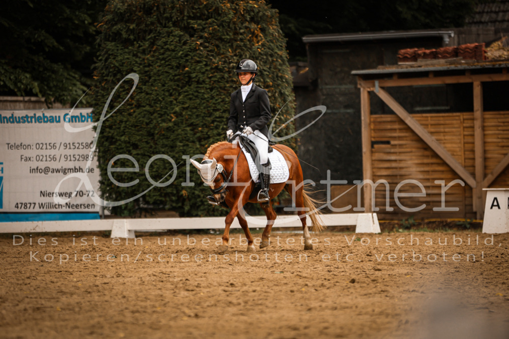 DoDrE00460 | Leoni Ertmer Photography - Realisiert mit Pictrs.com