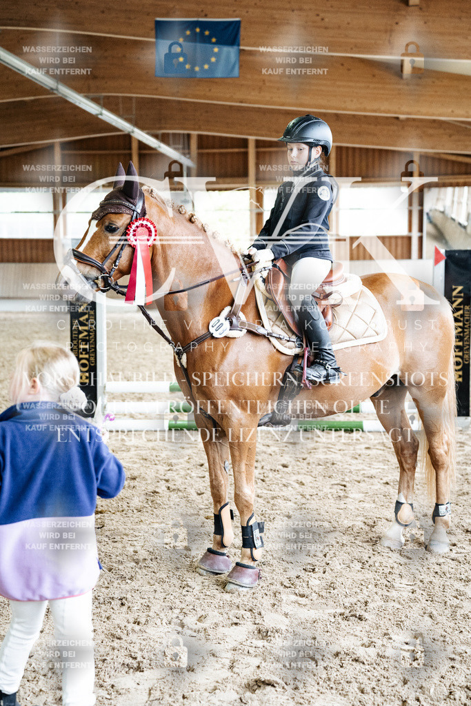 CK703447 | Turnierfotografie Pferdefotografie Trier Rheinland-Pfalz Pferdesport Reitsport Tierfotografie Sportfotografie Pferdevideo Pferdevideografie Equestrianvideography equestrianphotography  - Realisiert mit Pictrs.com